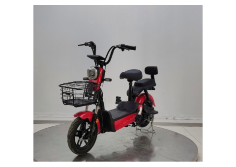 SXTG Electric Bike E-Motorcycle for Daily Commuting - 2/3