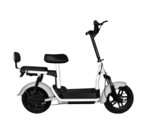 SQS 350W Electric Bike with 48V 12Ah Battery