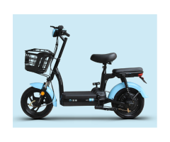 SQK 350W Electric Bike with 48V 12Ah Battery