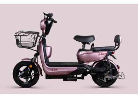 STN 500W Electric Bike with 60V 20Ah Battery - 2/3