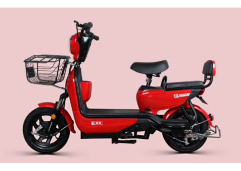 STN 500W Electric Bike with 60V 20Ah Battery - 3/3