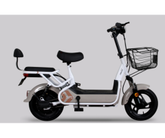 SZXS 350W Lead Acid Electric Bike