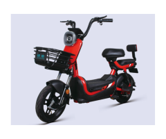 SZJ 500W Electric Bike for Urban Commuting