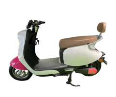 D06 1200W Electric Motorcycle with 58km/h Speed