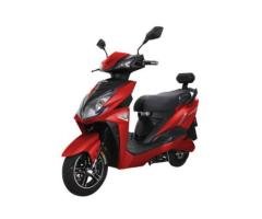 Leopard Electric Scooter