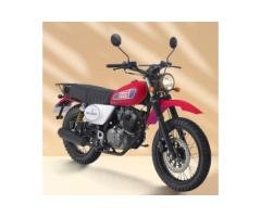 Scrambler PANYT613 Motorcycle