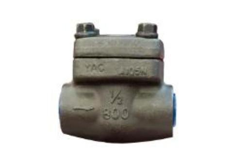 Forged steel check valve
