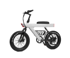 Q1 750W Dual Suspension Electric Bike