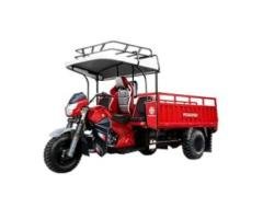 Q17 Rainforest Edition | Category: Motor Tricycles