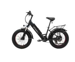 500W Full Suspension Fat Tire Electric Bike