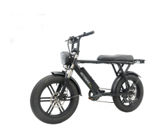 S731M 1000W Fat Tire Electric Mountain Bike