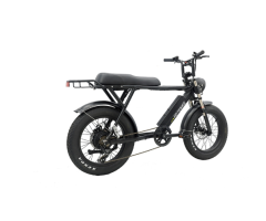 S731 750W Fat Tire Electric Mountain Bike