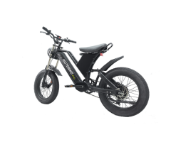 750W 20-Inch Wide Tire Electric Mountain Bike