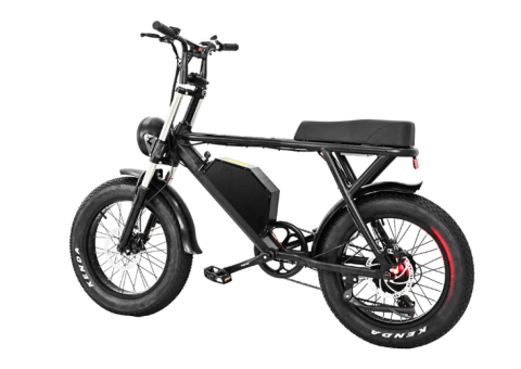1000W 48V Fat Tire Electric Bike - 1/3