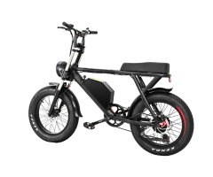 1000W 48V Fat Tire Electric Bike