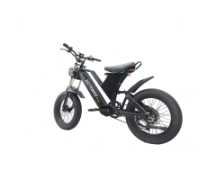 48V 750W 1000W Dual Motor Electric Bike