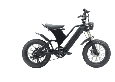 48V 750W 1000W Dual Motor Electric Bike - 2/5