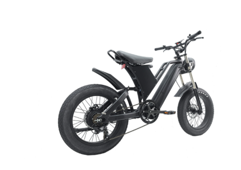 48V 750W 1000W Dual Motor Electric Bike - 5/5