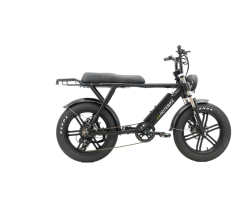 S731M 1000W 48V Electric Bike