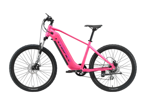 E-Smart 27.5-Inch 250W Electric Mountain Bike