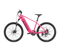 E-Smart 27.5-Inch 250W Electric Mountain Bike