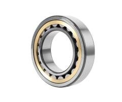Cylindrical Roller Bearing Types for Heavy Load Precision