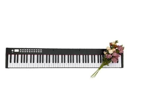 BX2 Portable Digital Piano