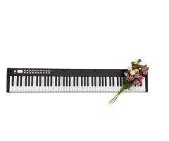BX2 Portable Digital Piano