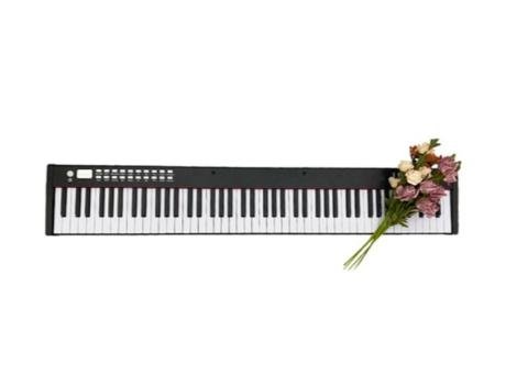 BX2 Portable Digital Piano - 2/2