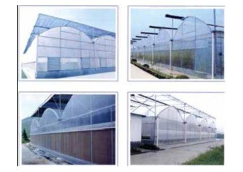Plastic film greenhouse - 2/2
