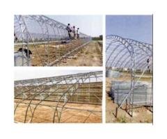 Tunnel Greenhouse