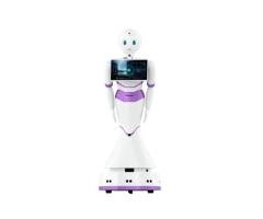 Intelligent Commercial Humanoid Service Robot