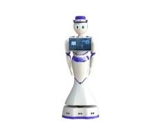 Commercial The Exhibition Hall Humanoid Service Robot