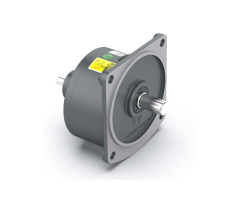 GVD Series Dual Shaft Vertical Gear Box