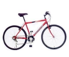 20" STEEL 1 SPEED CHOOPER BIKE D-CP50