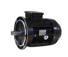 WST132 Motor