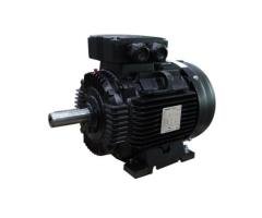 WST160 Motor