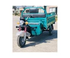 S1 Cargo Electric Vehicle