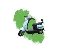 Eagle Electric Bike