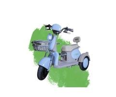 Beetle Electric Bike
