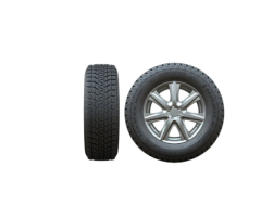 RW501 Winter Tire