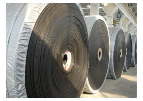 Nylon & Polyester Conveyor Belt