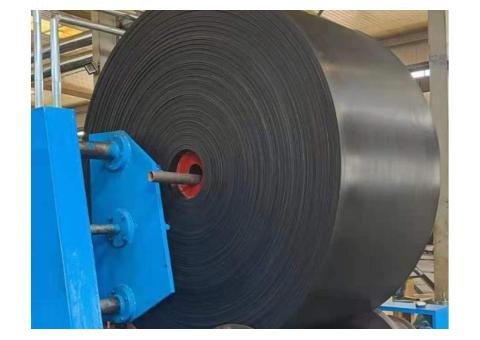 Nylon & Polyester Conveyor Belt - 2/2