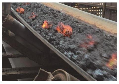 300°C High-Temperature Conveyor Belt - 2/2