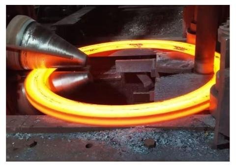 Gear Ring Forging