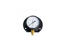 General Purpose Gauges with Back Flanges