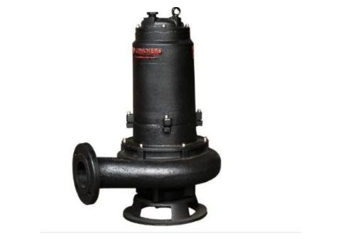 Small Submersible Sewage Pump