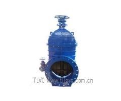 Gate Valve