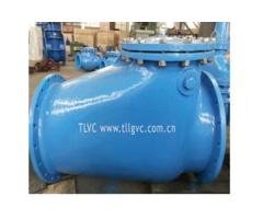 Check Valve