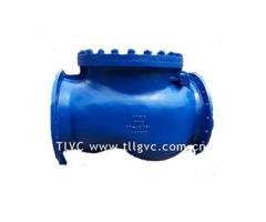 Check Valve